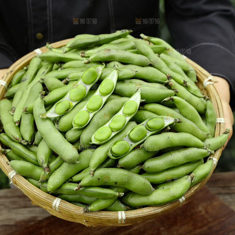 蚕豆