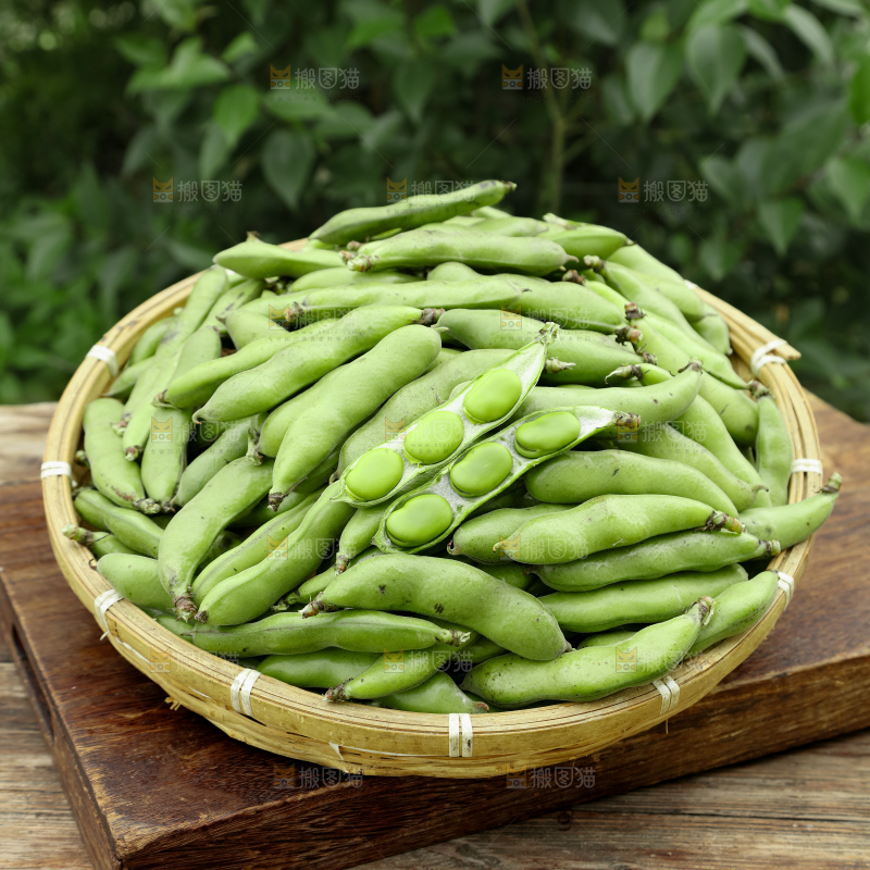 蚕豆