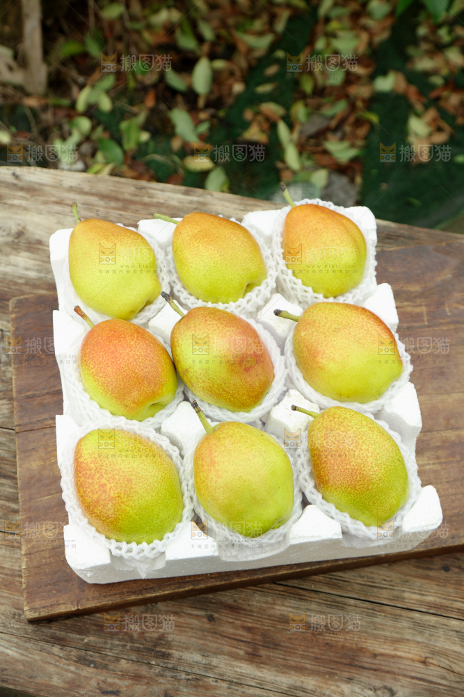 红香酥梨