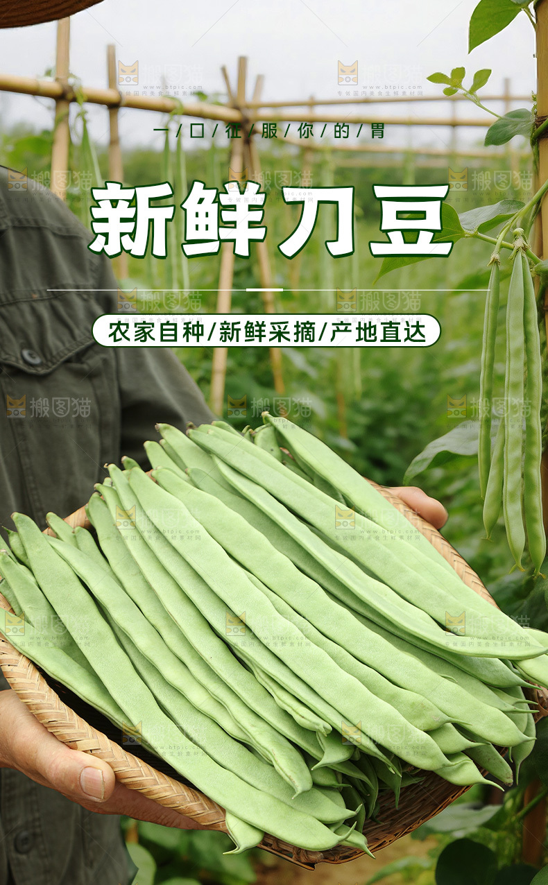 新鲜刀豆详情页