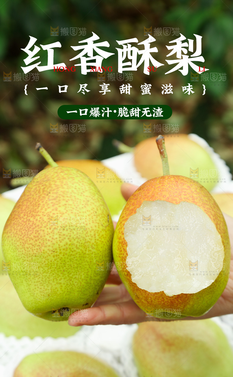 红香酥梨详情页
