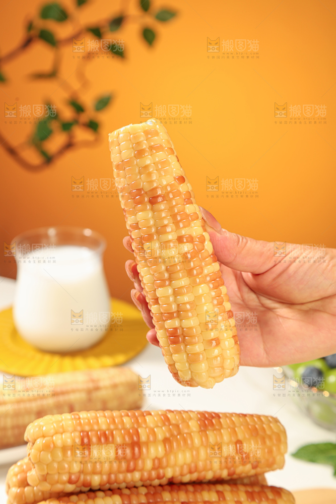 花糯玉米