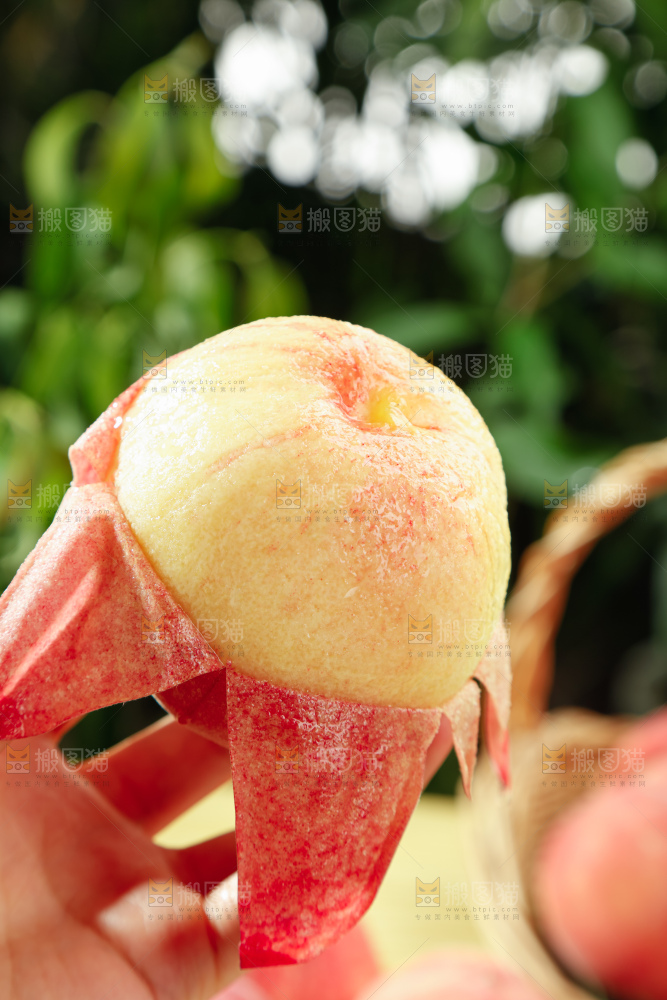 水蜜桃