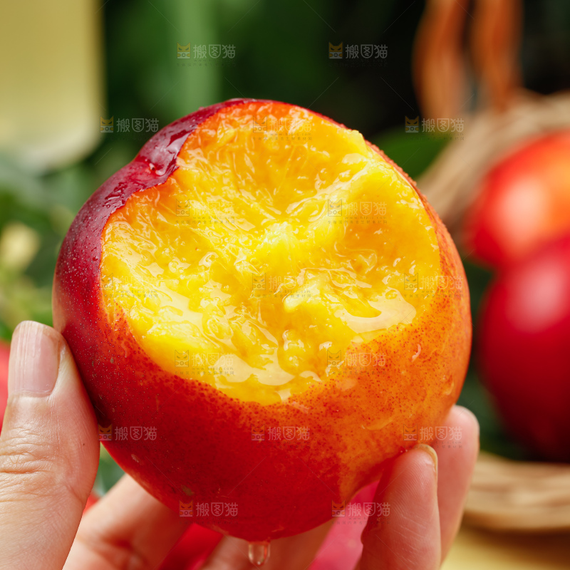 油桃