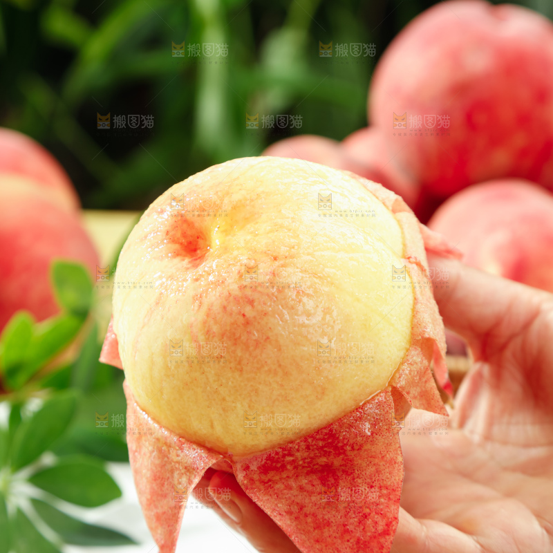 水蜜桃