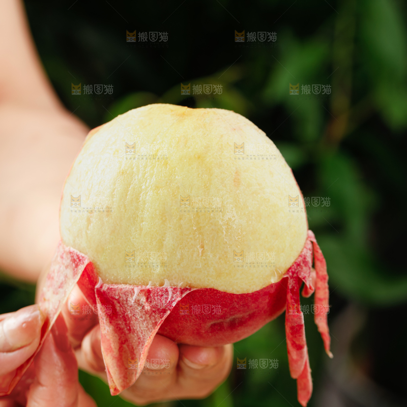 水蜜桃