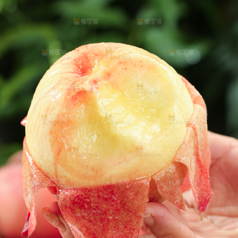 水蜜桃