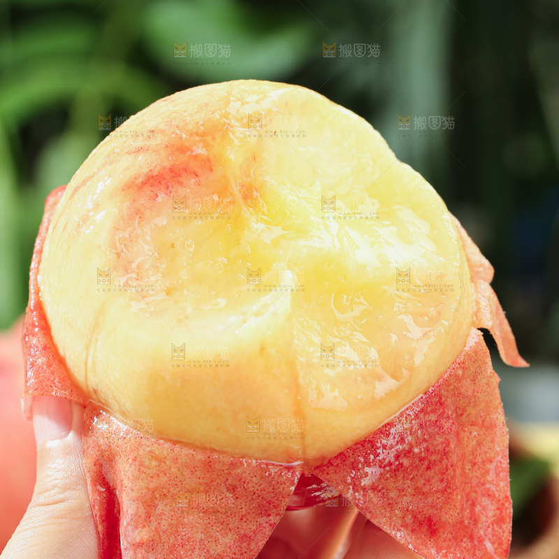 水蜜桃