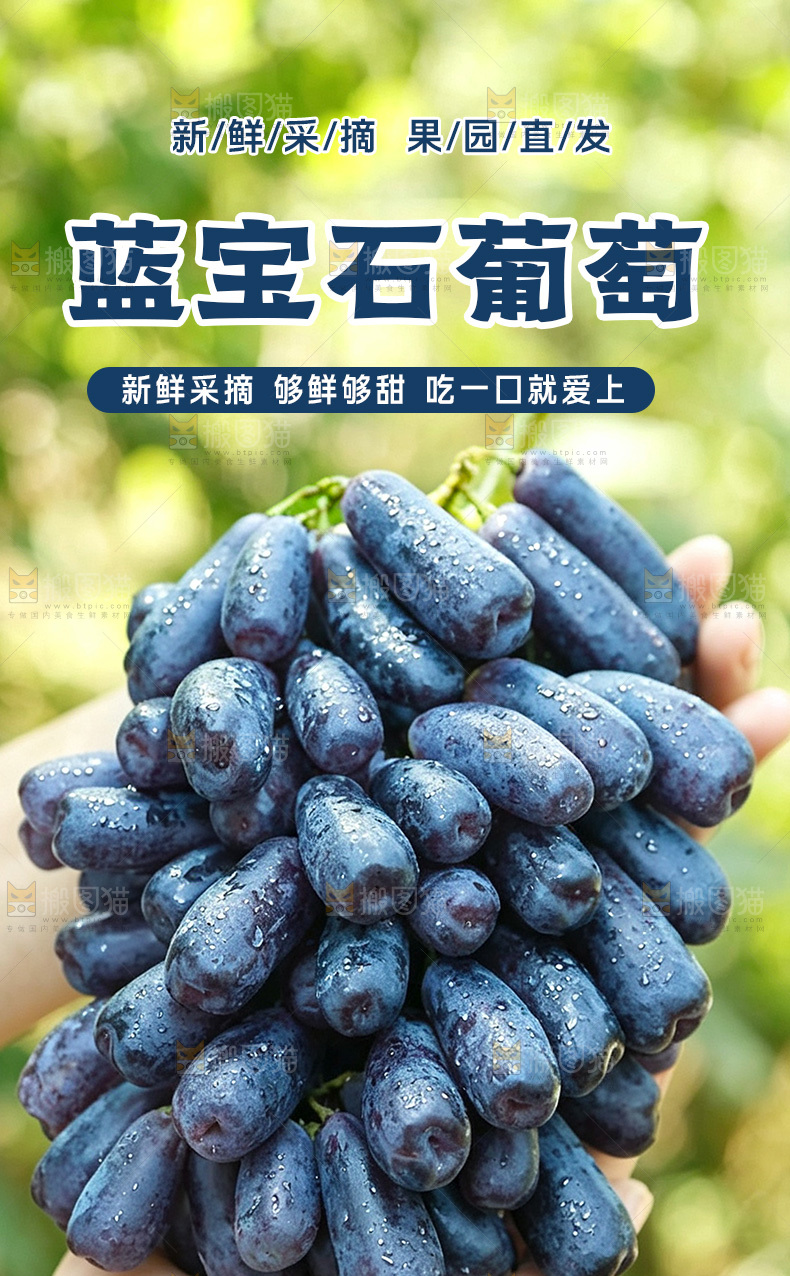 蓝宝石葡萄详情页