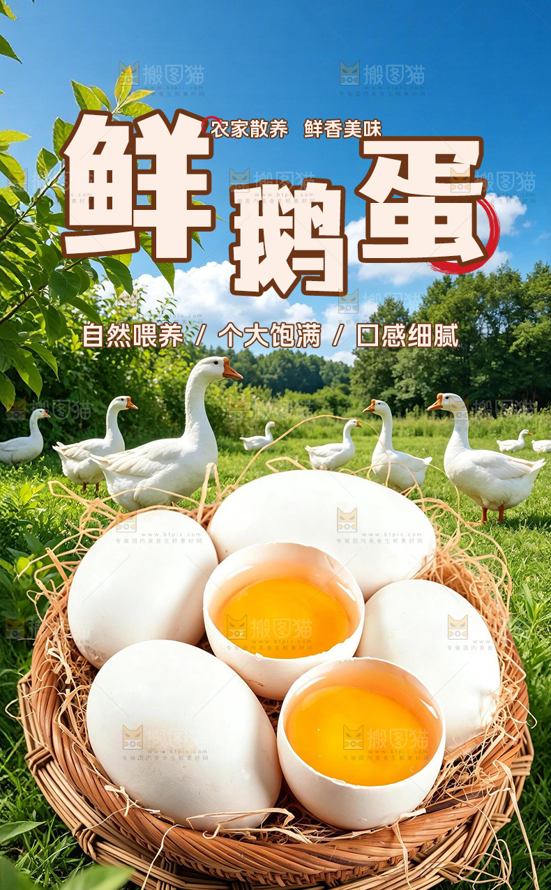 鹅蛋详情页