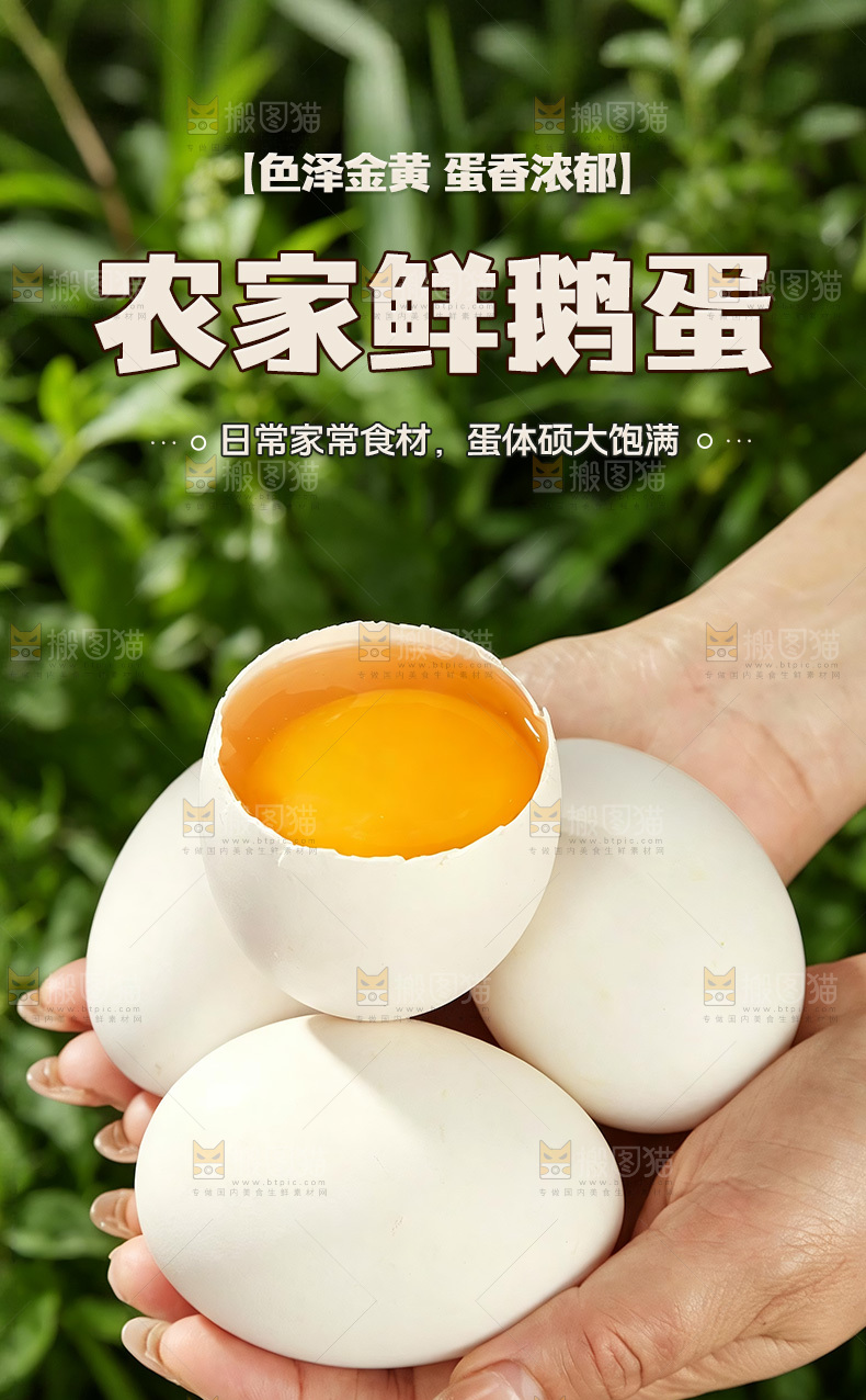 土鹅蛋详情页