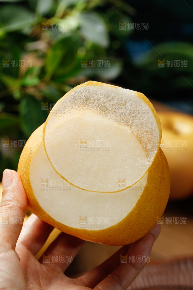 秋月梨