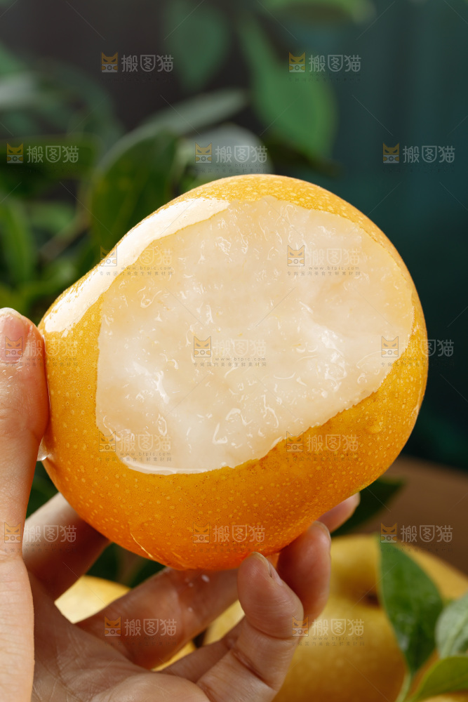 秋月梨