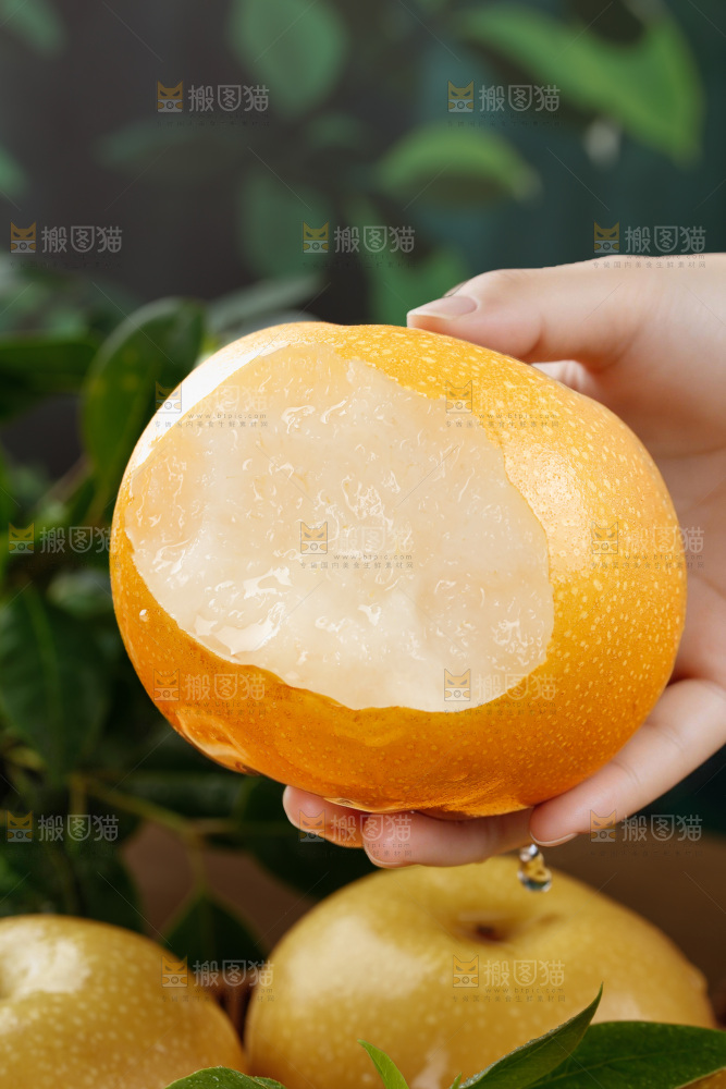 秋月梨