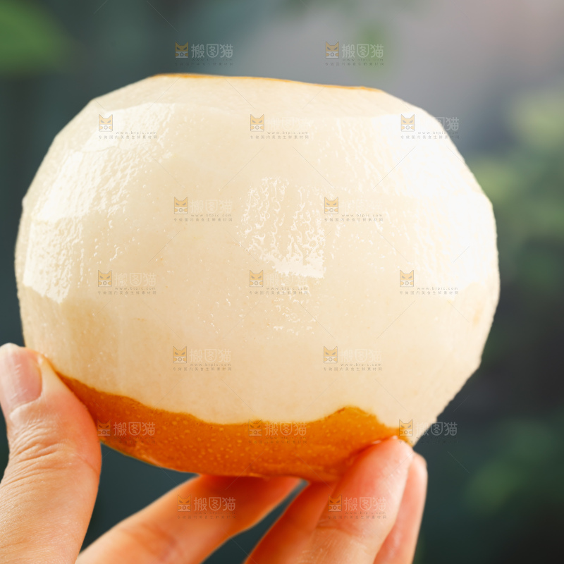 秋月梨