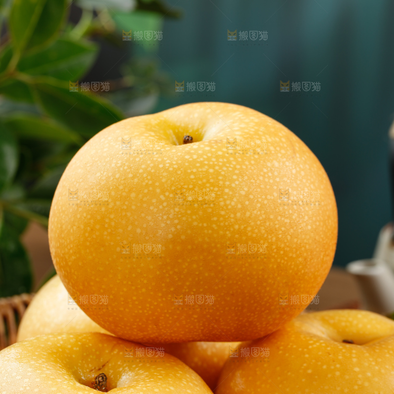 秋月梨