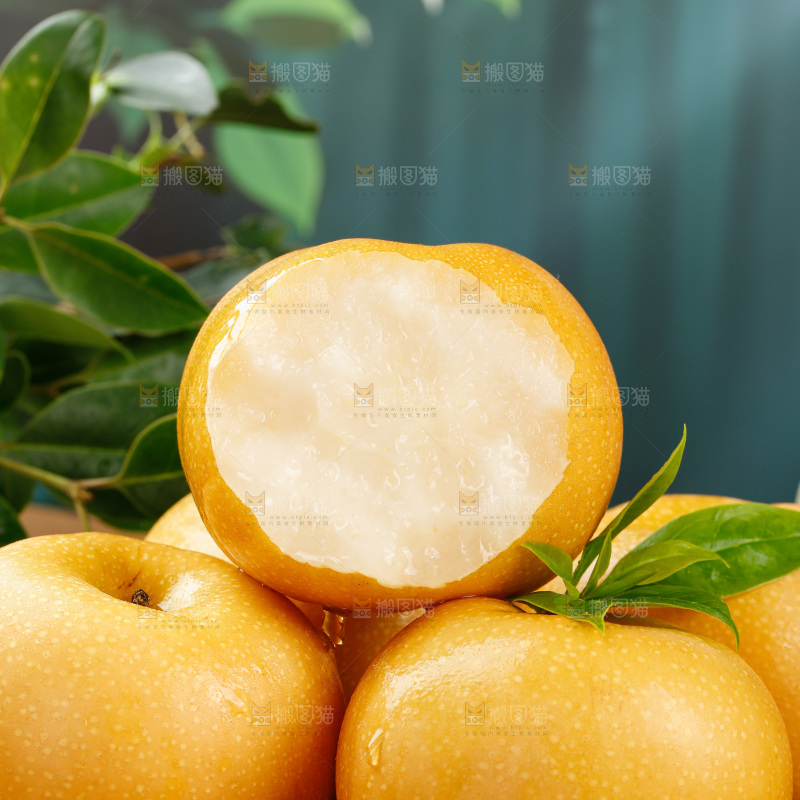 秋月梨