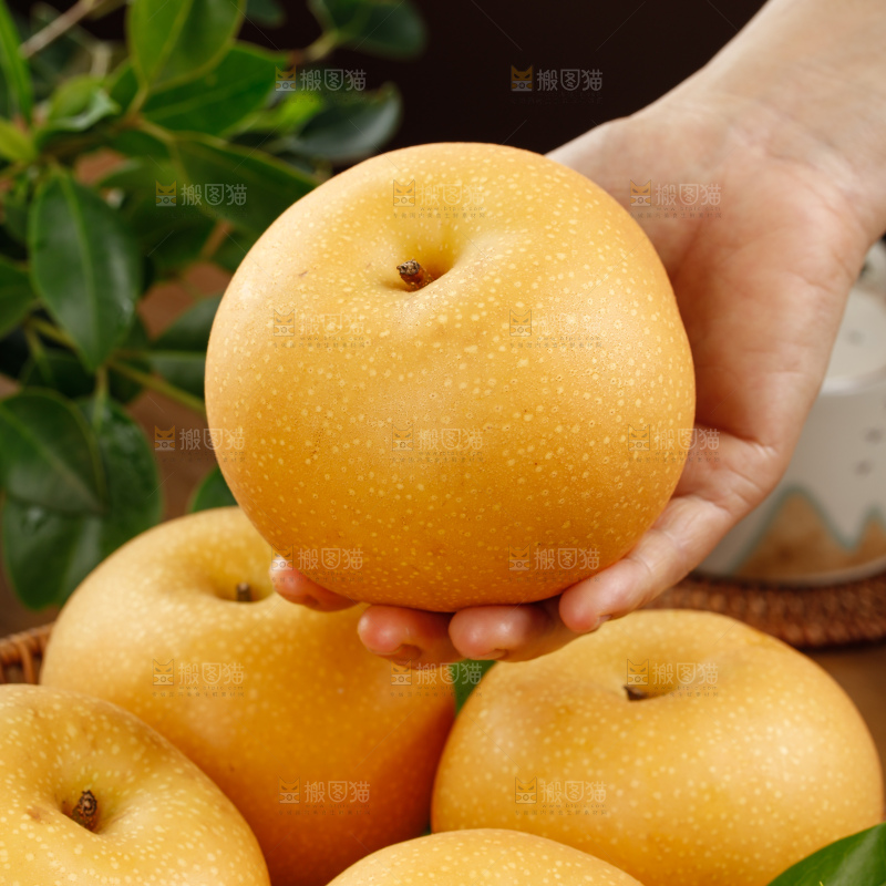 秋月梨