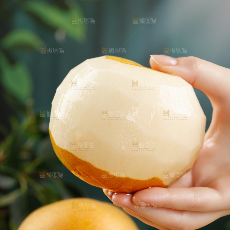 秋月梨