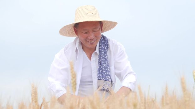 三农人物